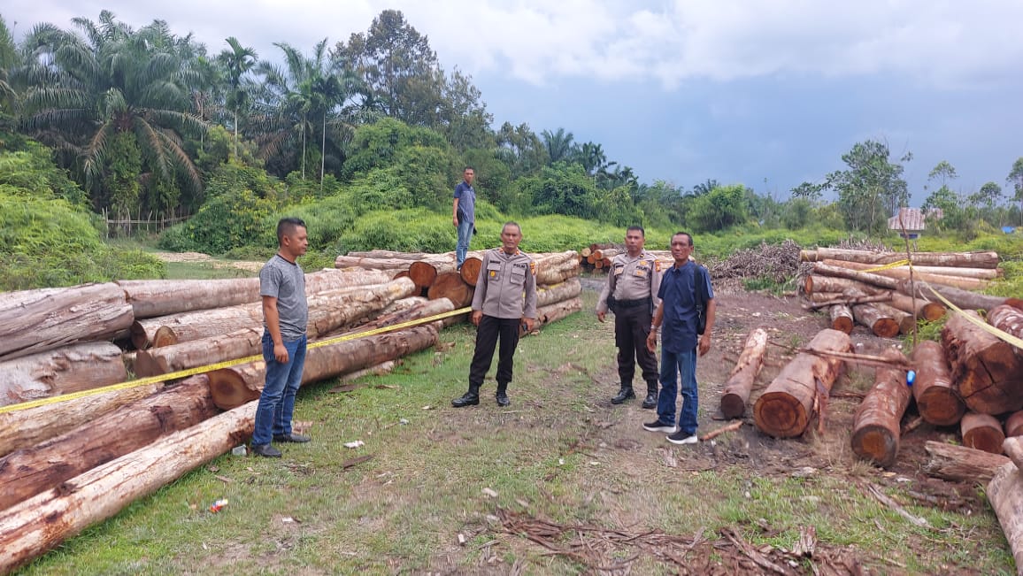 Polsek Kampar Kiri Amankan 215 Tual Kayu Tak Bertuan Pelaku Masih Diburu